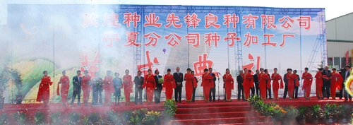 敦煌種業(yè)先鋒良種有限公司寧夏分公司種子加工廠落成投產