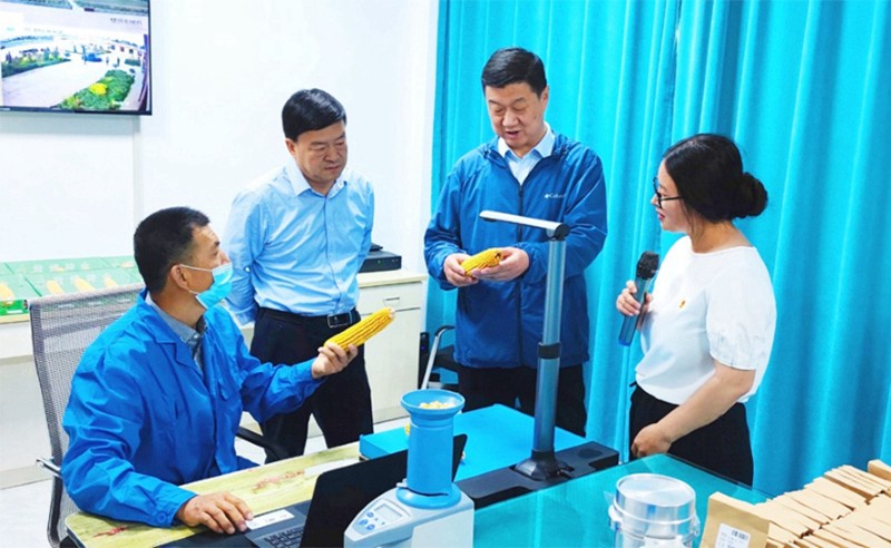 甘肅省地方金融監(jiān)管局、甘肅證監(jiān)局領導蒞臨敦煌種業(yè)調研指導