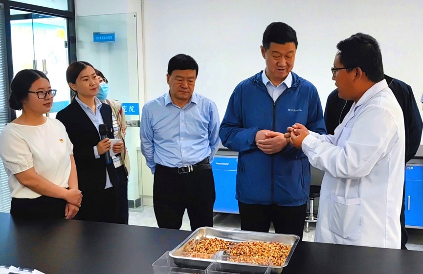 甘肅省地方金融監(jiān)管局、甘肅證監(jiān)局領導蒞臨敦煌種業(yè)調研指導